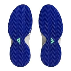 ADIDAS Barricade Scarpa Per Terra Rossa Donna - Bianco, Blu -Tennis Gioco 05600000 0 5